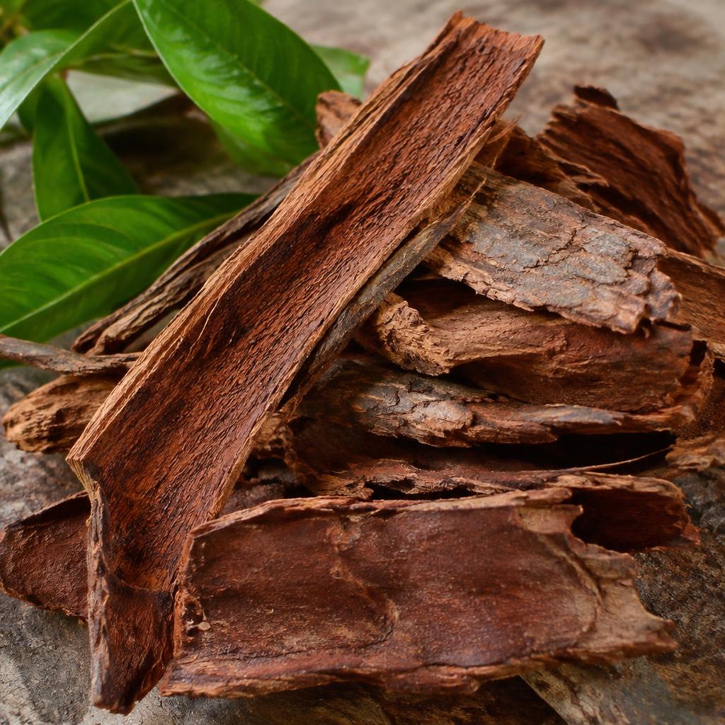 Dried reddish-brown catuaba bark strips stacked with green leaves